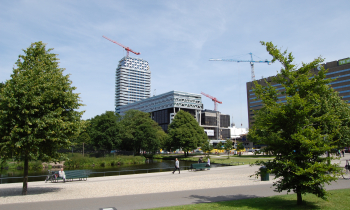 DSC_7461.JPG