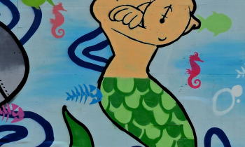 DSCN1105.jpg