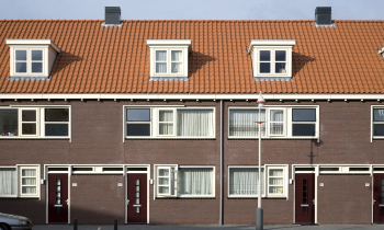 vlashoeve 01-2008 (12).jpg