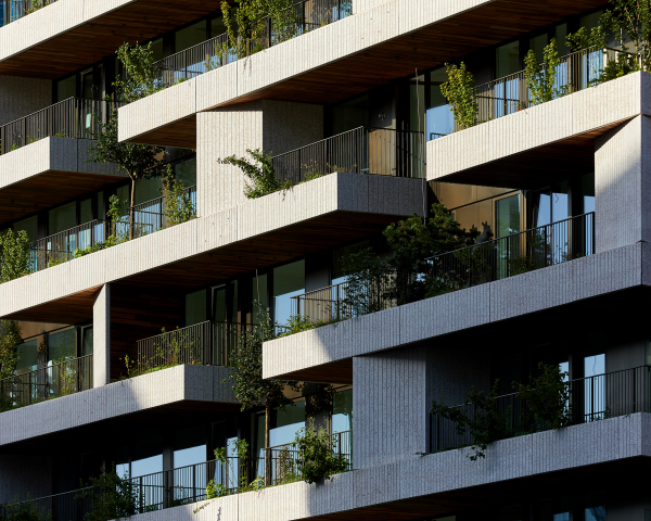 hoogste punt Wonderwoods