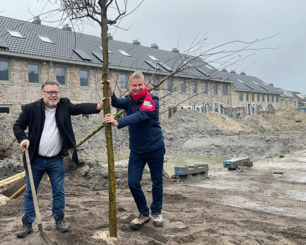 Meidoorns de geelvinck