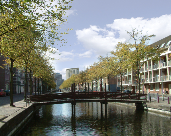 8289_spui-lamgroen-impressie_INBO_6.jpg